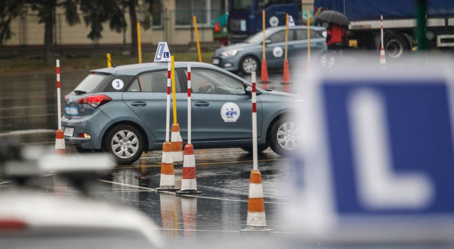 Prawo jazdy 2018, zmiany w przepisach, zielony listek